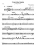 Andresen - Concerto Danica - Euphonium and Concert Band - Brass Music Online