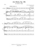 Dvorak - Ave Maria - Trombone and Organ - Brass Music Online