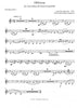 Piazolla - Oblivion - Accordeon and Brass Choir