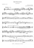 Adams - The Holy City for Trumpet in Bb and Piano - Brass Music Online