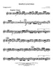 Joplin - Maple Leaf Rag - Brass Quintet