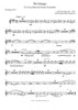 Piazolla - Novitango - Accordeon and Brass Choir