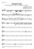 Verdi-Wagner - Prisoned Pilgrims - Brass Quintet
